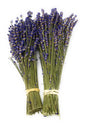 Dried Lavender Bundles Royal Velvet 14-18 Inch Aromatherapy Decor