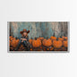 Cute Cowgirl In A Pumpkin Patch, Framed Canvas Print, Fall / Thanksgiving Decor, minimalist seasonal art for autumn or Christmas decor