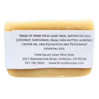 Handmade Goat Milk Soap | All Natural Eucalyptus & Peppermint Soap