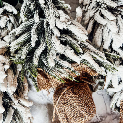 Snow Trees