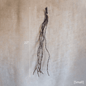 Ikebana Twig Branch