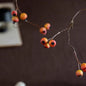 Leafless Berry Branch Stem 45.2" Tall