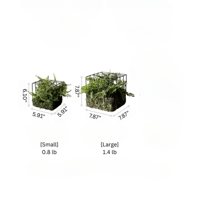 Woodland Cube Garden Accent