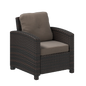 Miles Mocha Finish Outdoor Wicker Club Chair