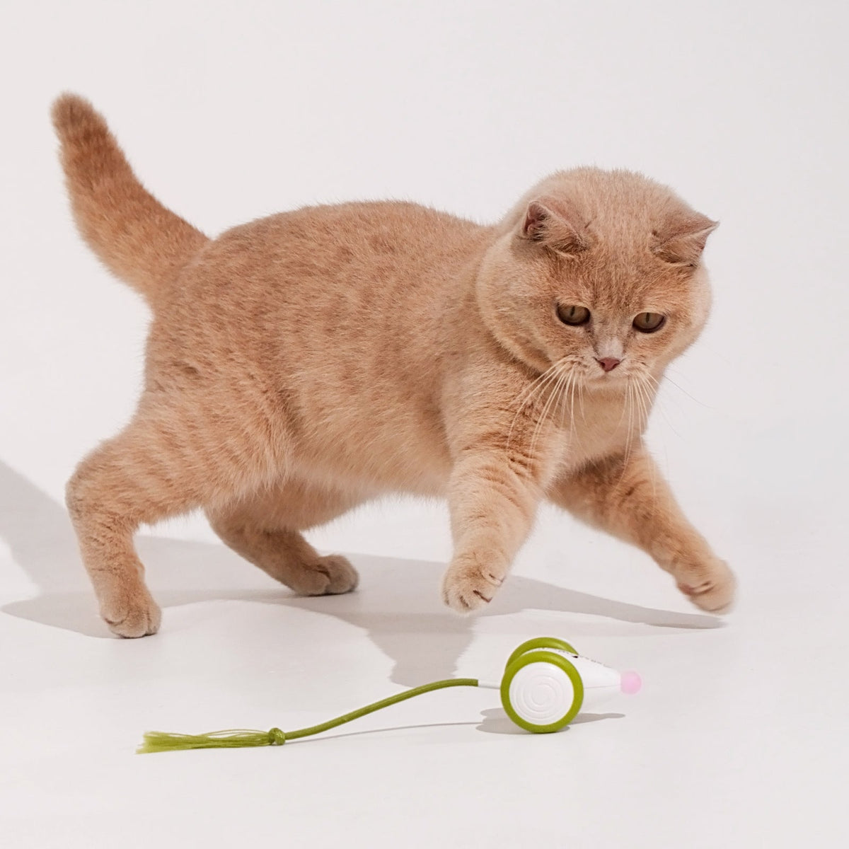 Wicked Mouse Neo