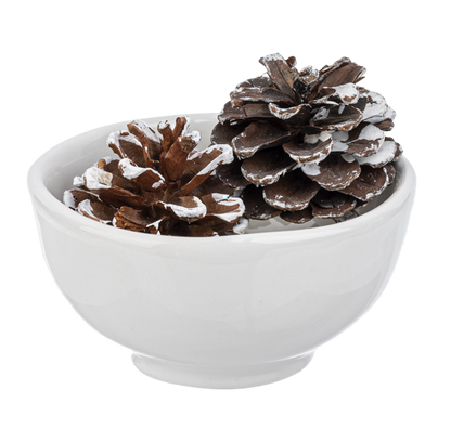 White Ceramic Holiday Tidbit Bowls