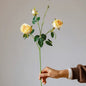Vintage Garden Rose Stem – 25"