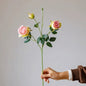 Vintage Garden Rose Stem – 25"