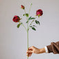 Vintage Garden Rose Stem – 25"