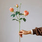 Vintage Garden Rose Stem – 25"