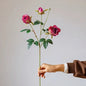 Vintage Garden Rose Stem – 25"
