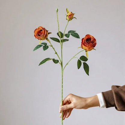Vintage Garden Rose Stem – 25"