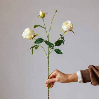 Vintage Garden Rose Stem – 25"