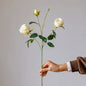 Vintage Garden Rose Stem – 25"
